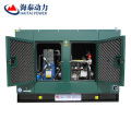 AC Three Phase Output Type gas engine generator power plant